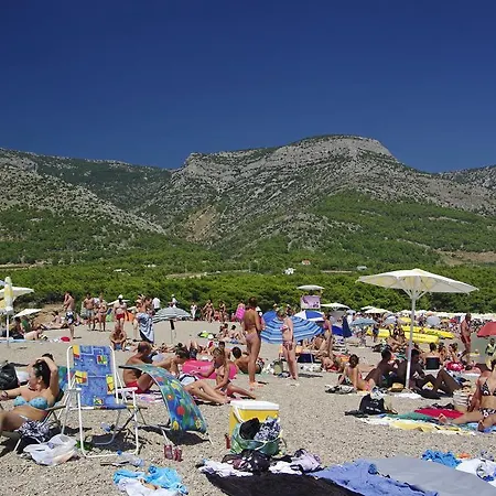 Vacation Oleandra Bol