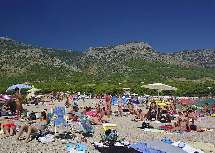 Vacation Oleandra Bol